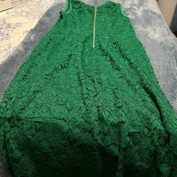 The Limited lined lace dress - Picture 7 of 7